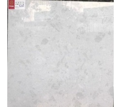 Gạch lát nền 60x60