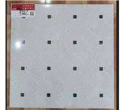 Gạch lát nền 40x40