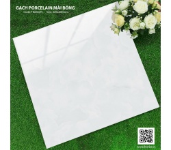 Gạch lát nền 60X60 TK6652N