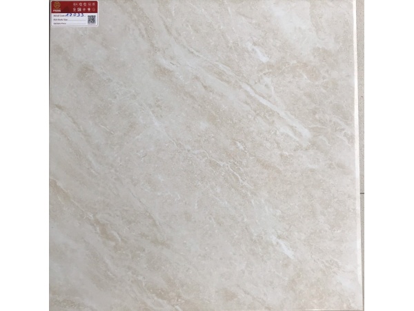 Gạch lát nền 60x60